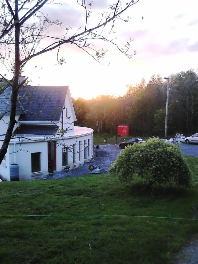 Gasthaus Harmony Hall Veganic Kilkenny Exterior foto